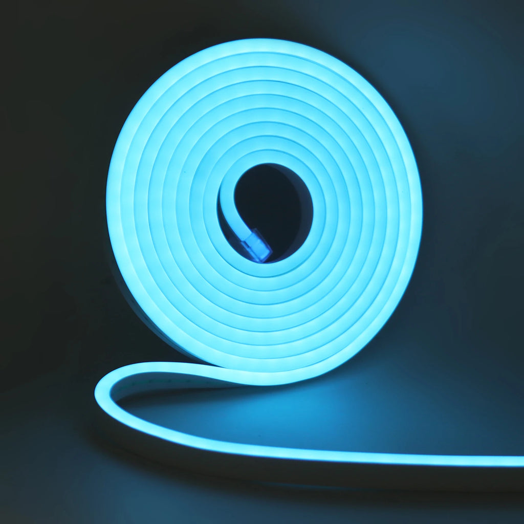 Tira Luz LED Neón Multicolor 5 Metros 120 LEDs/m USB 5V