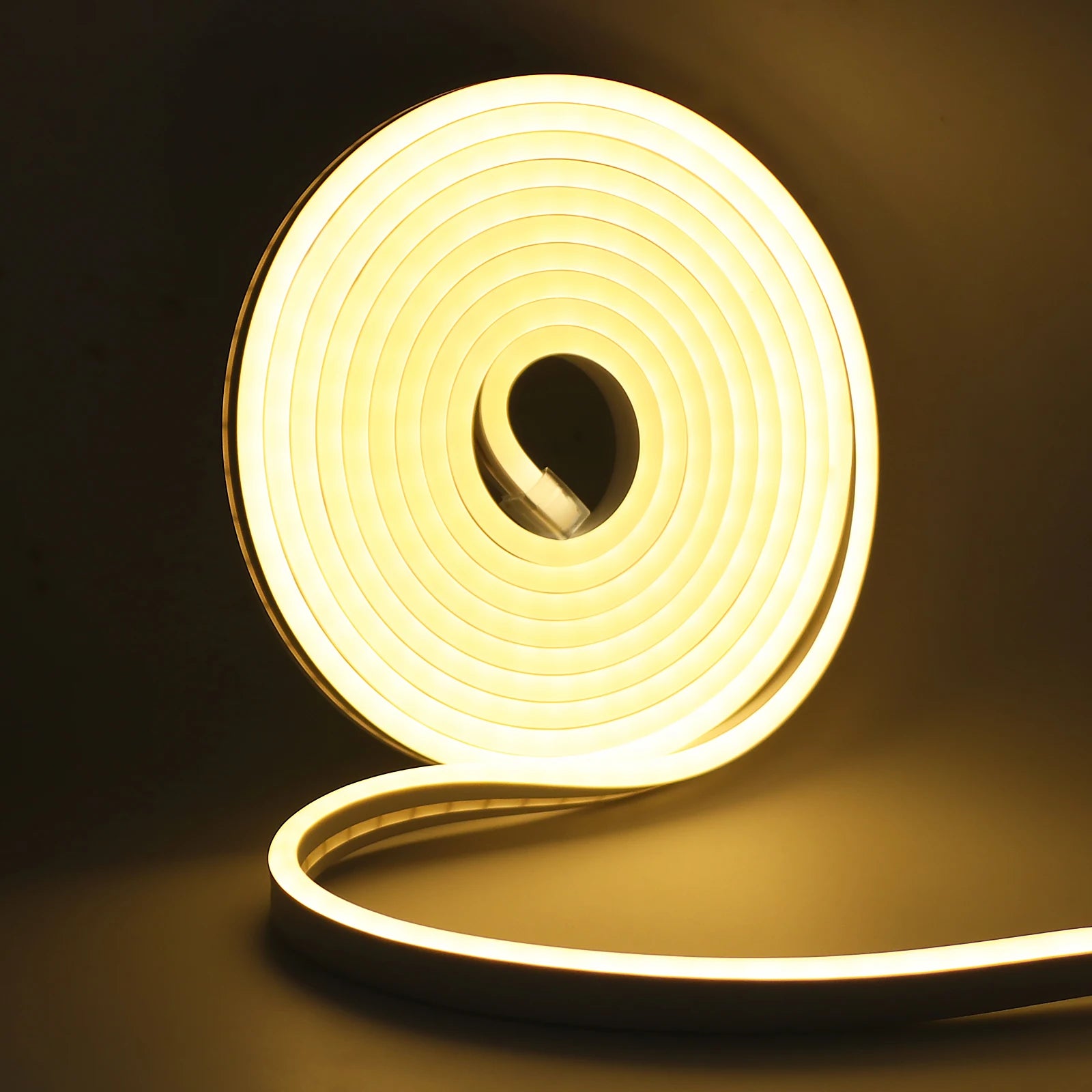 Tira Luz LED Neón Multicolor 5 Metros 120 LEDs/m USB 5V